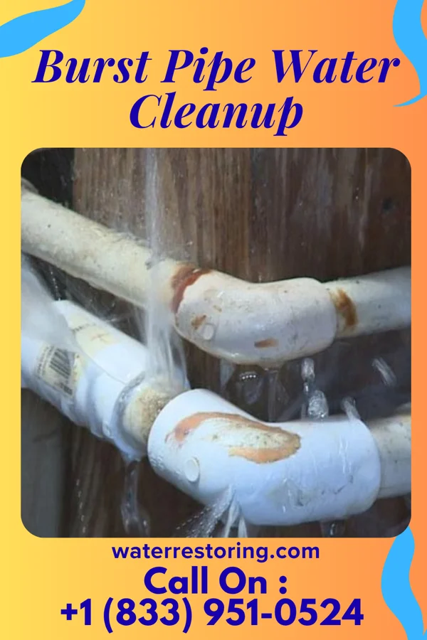 Burst Pipe Water Cleanup in East Dailey, WV