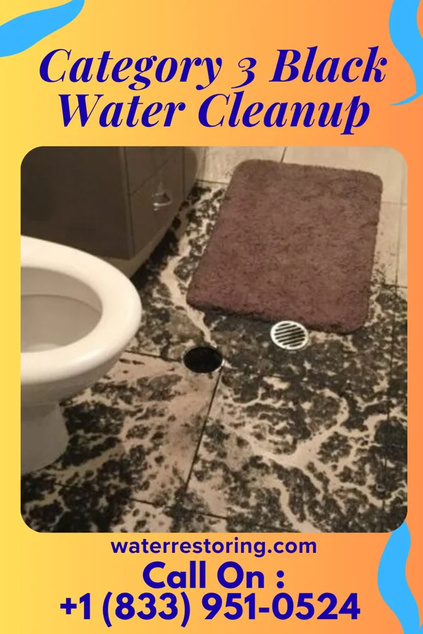 Category 3 Black Water Cleanup in East Dailey, WV