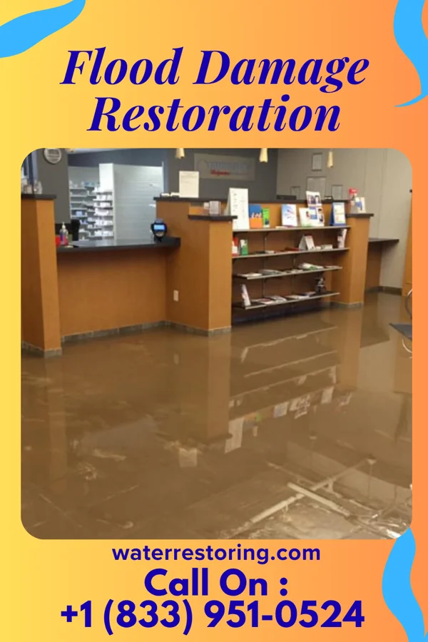 Flood Damage Restoration in East Dailey, WV
