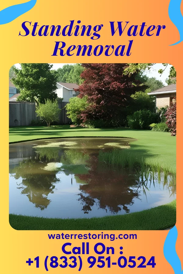 Standing Water Removal in East Dailey, WV
